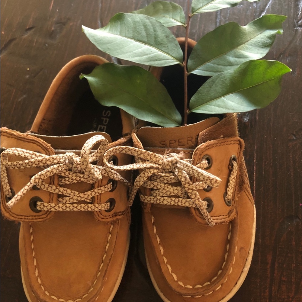 Toddler sperry boat shoes